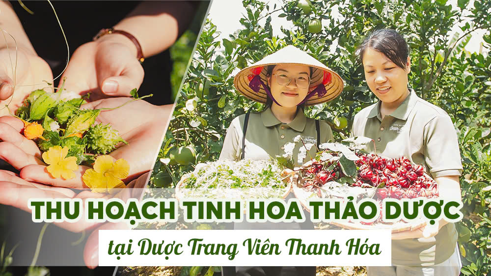 MỘT NGÀY THU HOẠCH ĐẦY NẮNG VÀ TRÀN NGẬP NIỀM VUI TẠI DƯỢC TRANG VIÊN DEAR NATURE!