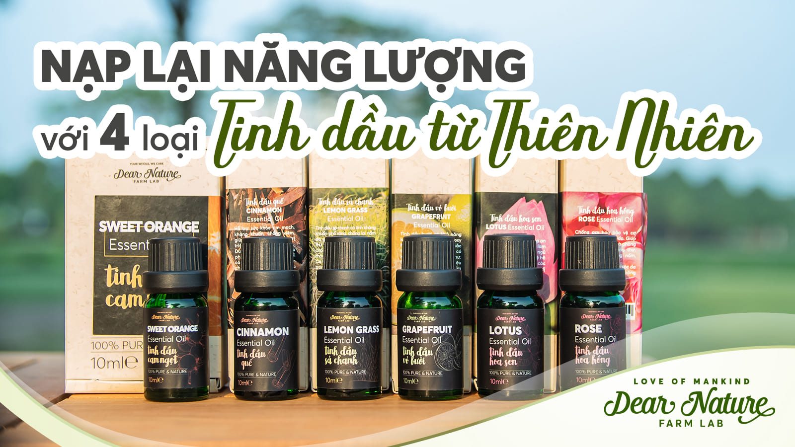 4 Tinh dầu Thiên Nhiên Xua Tan Căng Thẳng, Tận Hưởng Cuộc Sống Bình Yên