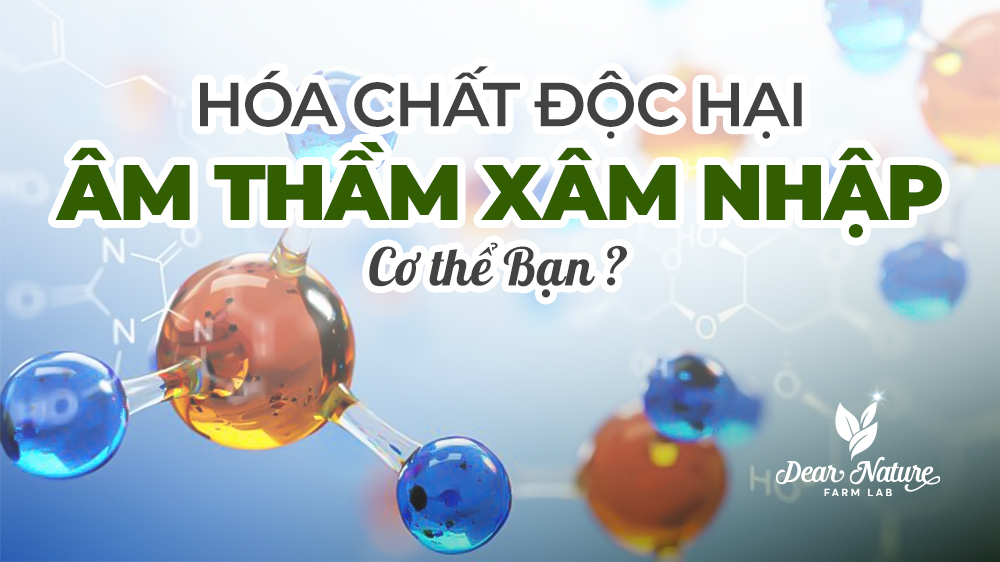 Hóa Chất Độc Hại Xâm Nhập Cơ Thể Qua Những Con Đường Nào Ngoài Ăn Uống?