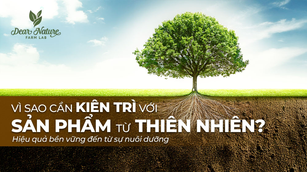 Vì Sao Cần Kiên Trì Khi Sử Dụng Sản Phẩm Chăm Sóc Từ Thiên Nhiên?