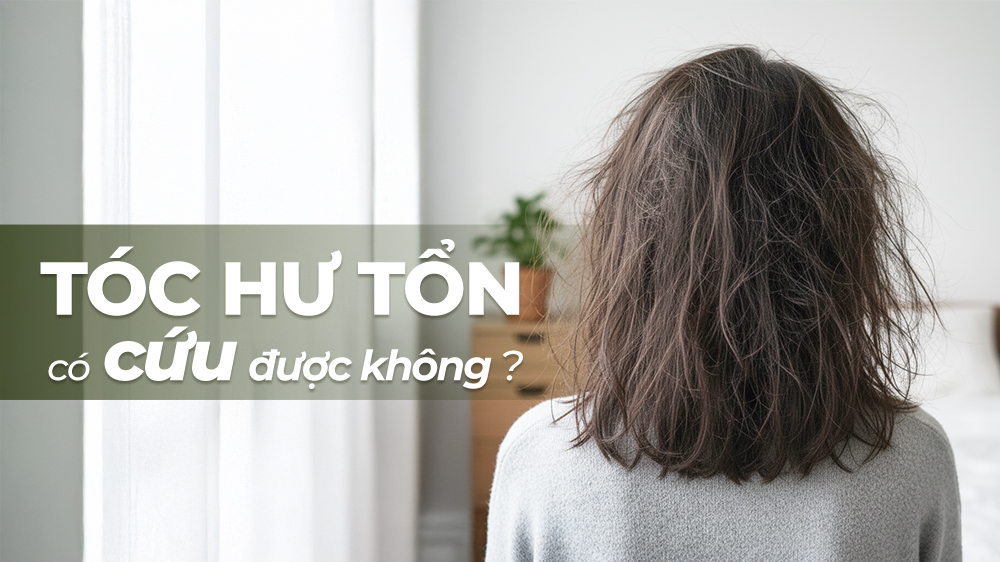 Tóc Khô Xơ, Hư Tổn Có 
