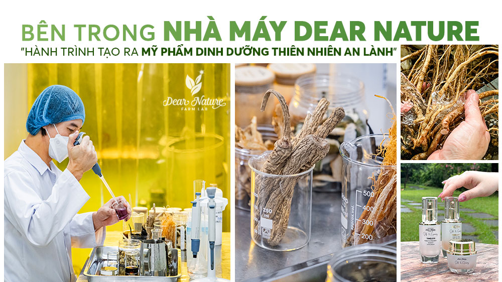 Bên Trong Nhà Máy Dear Nature: Hành Trình Tạo Ra Một Sản Phẩm