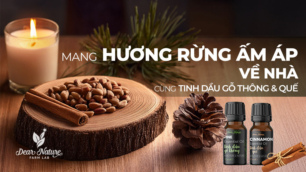 Mang Hương Rừng Ấm Áp Về Nhà Với Tinh Dầu Gỗ Thông & Quế