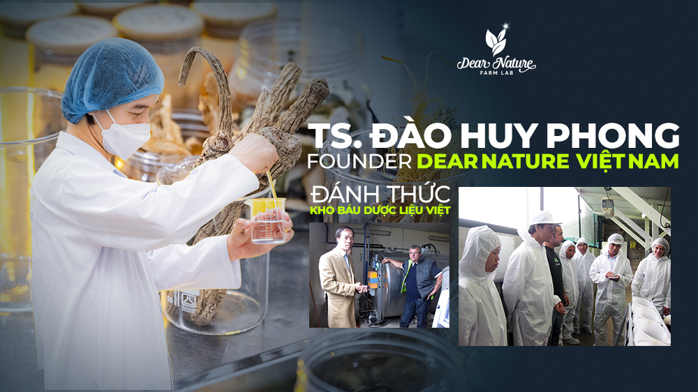 TS. Đào Huy Phong: Chân Dung Nhà Sáng Lập Tâm Huyết Đứng Sau Thương Hiệu Dear Nature