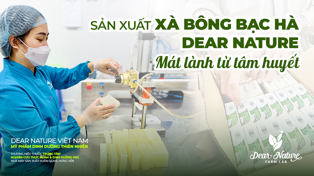 Từ Nguyên Liệu Đến Xà Bông Bạc Hà Thơm Lạnh: Hé Lộ Quy Trình Tâm Huyết Tại Nhà Máy Dear Nature