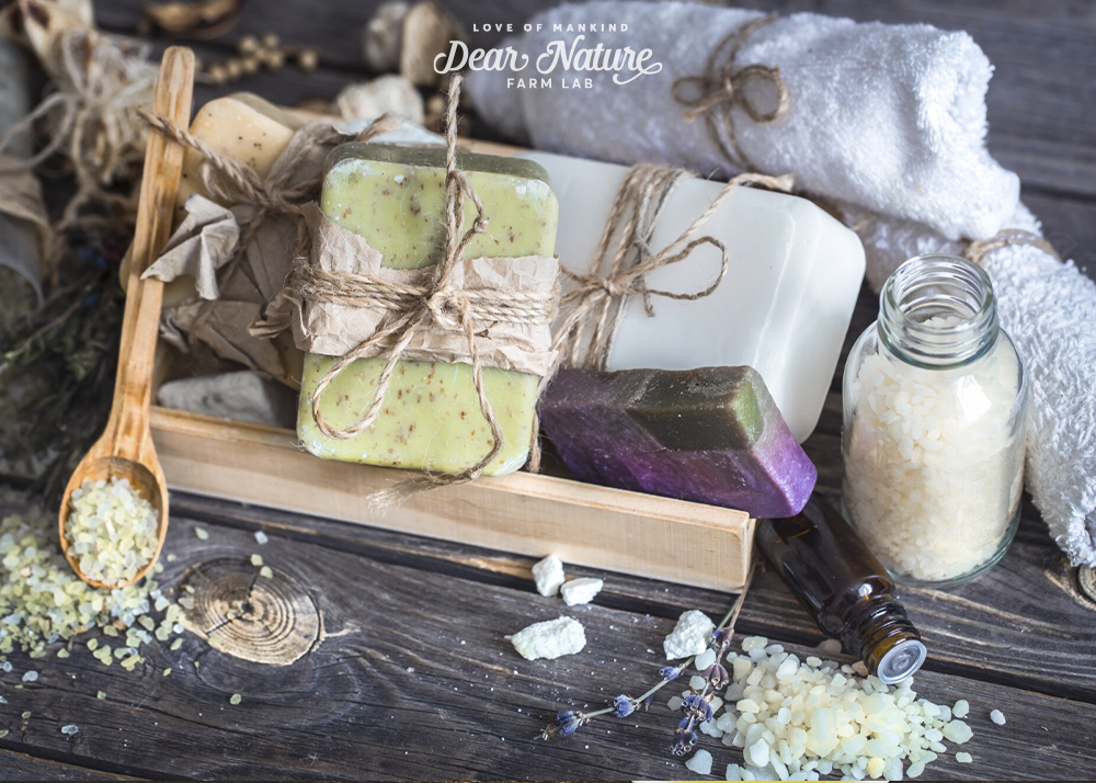 Cùng Dear Nature tìm hiểu Ủ chượp sinh học Castile Soap