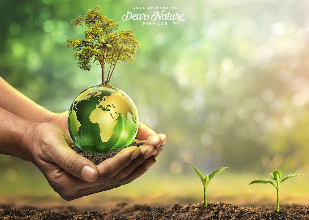 Cùng Dear Nature tìm hiểu Ủ chượp sinh học Castile Soap