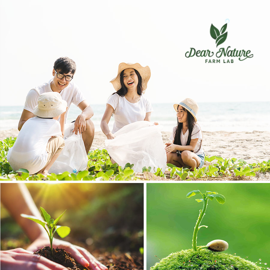 Những hành động nhỏ góp phần bảo vệ đa dạng sinh học mỗi ngày