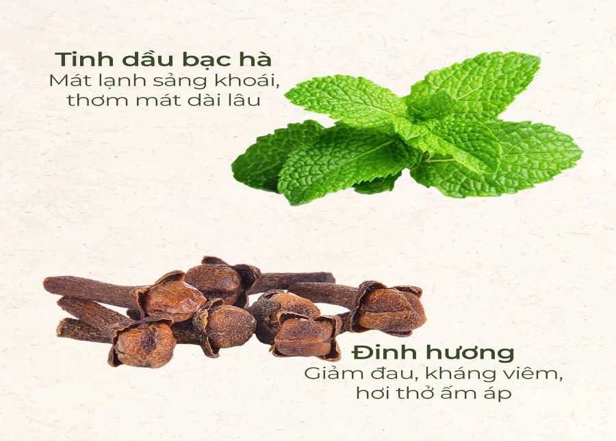 Lá bạc hà tươi xanh và nụ đinh hương khô