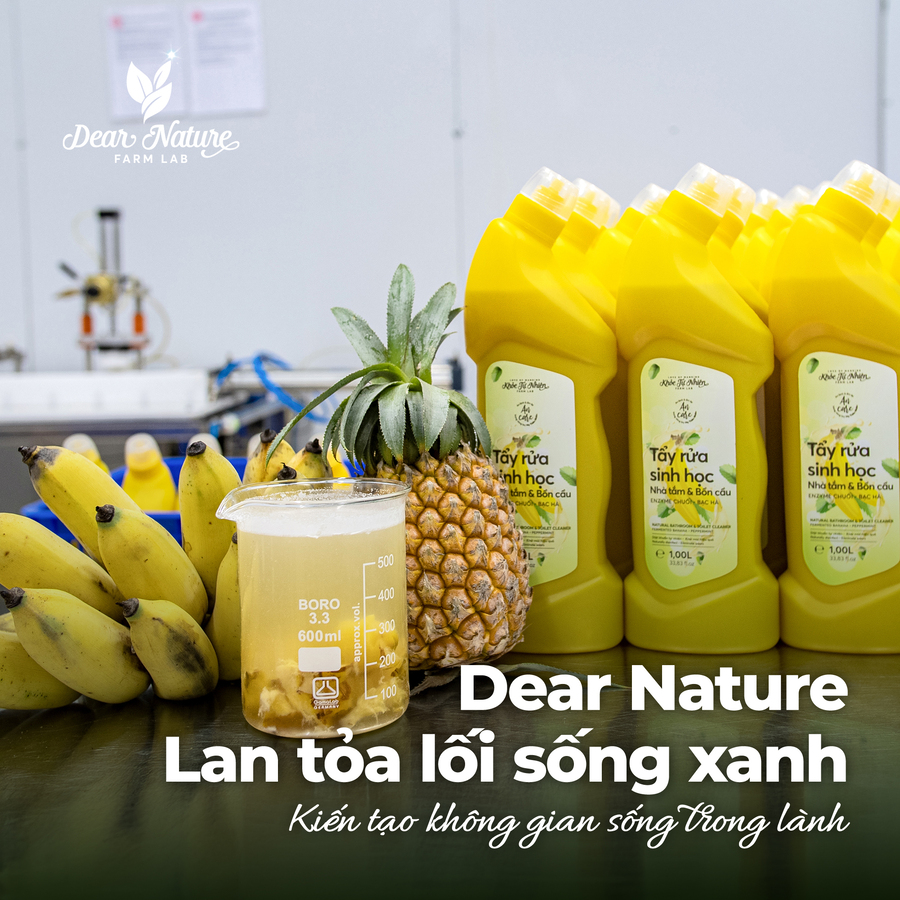  Tẩy rửa Sinh học Dứa Chuối Bạc Hà Dear Nature