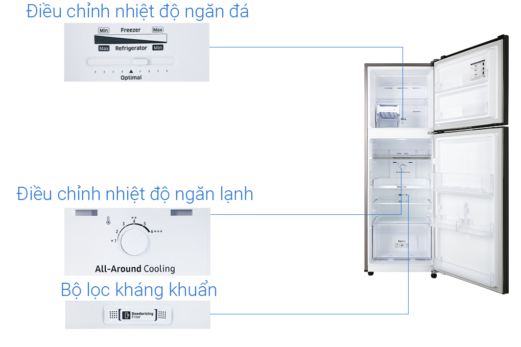 Tủ lạnh Samsung 236 lít RT22M4032BY/SV