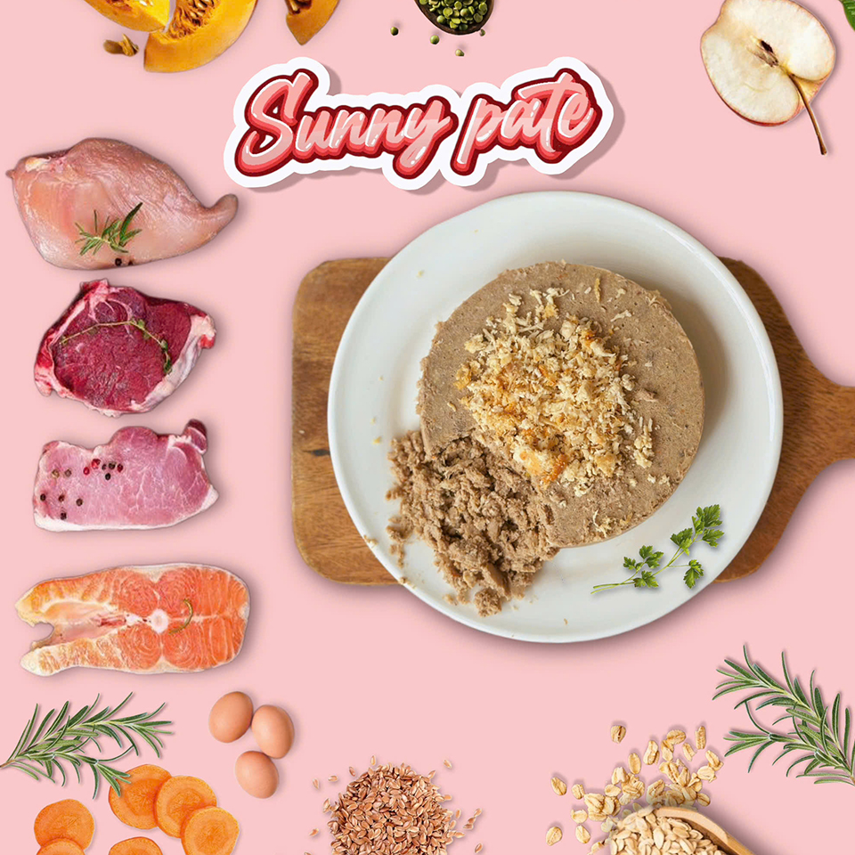 Thú Cưng Của Bạn Cần Gì?