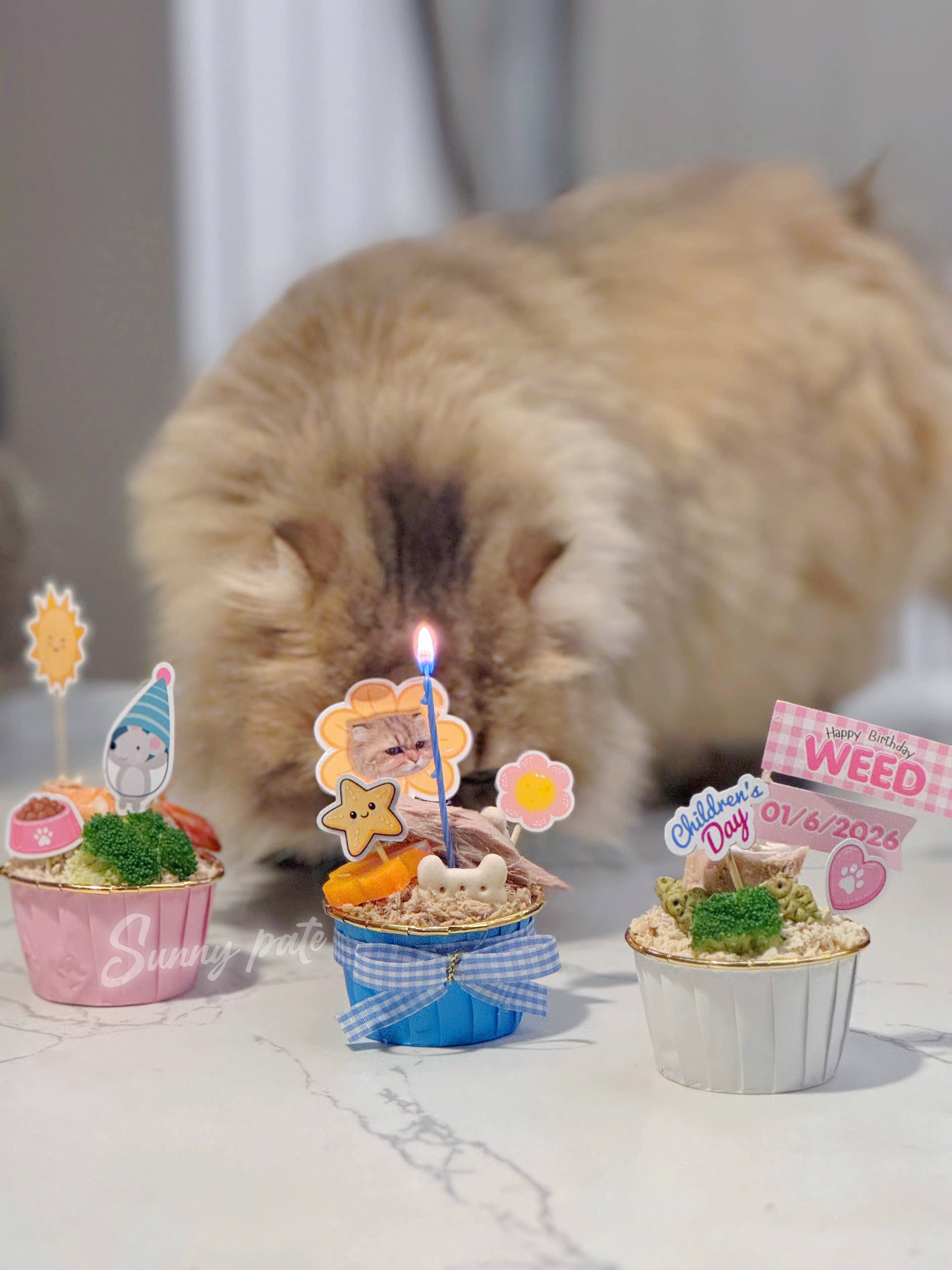 Set CUPCAKE Sunny pate tươi chúc mừng thú cưng