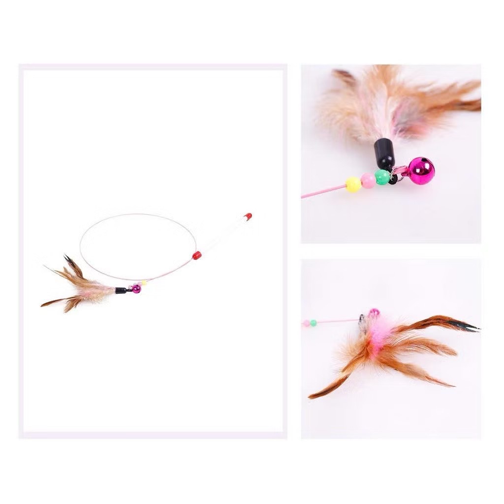 Cần câu đồ chơi vui nhộn cho mèo