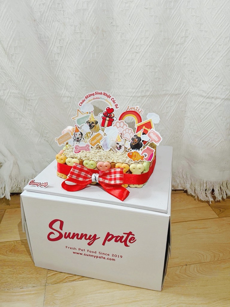 Bánh sinh nhật pate cho thú cưng - Mẫu V001