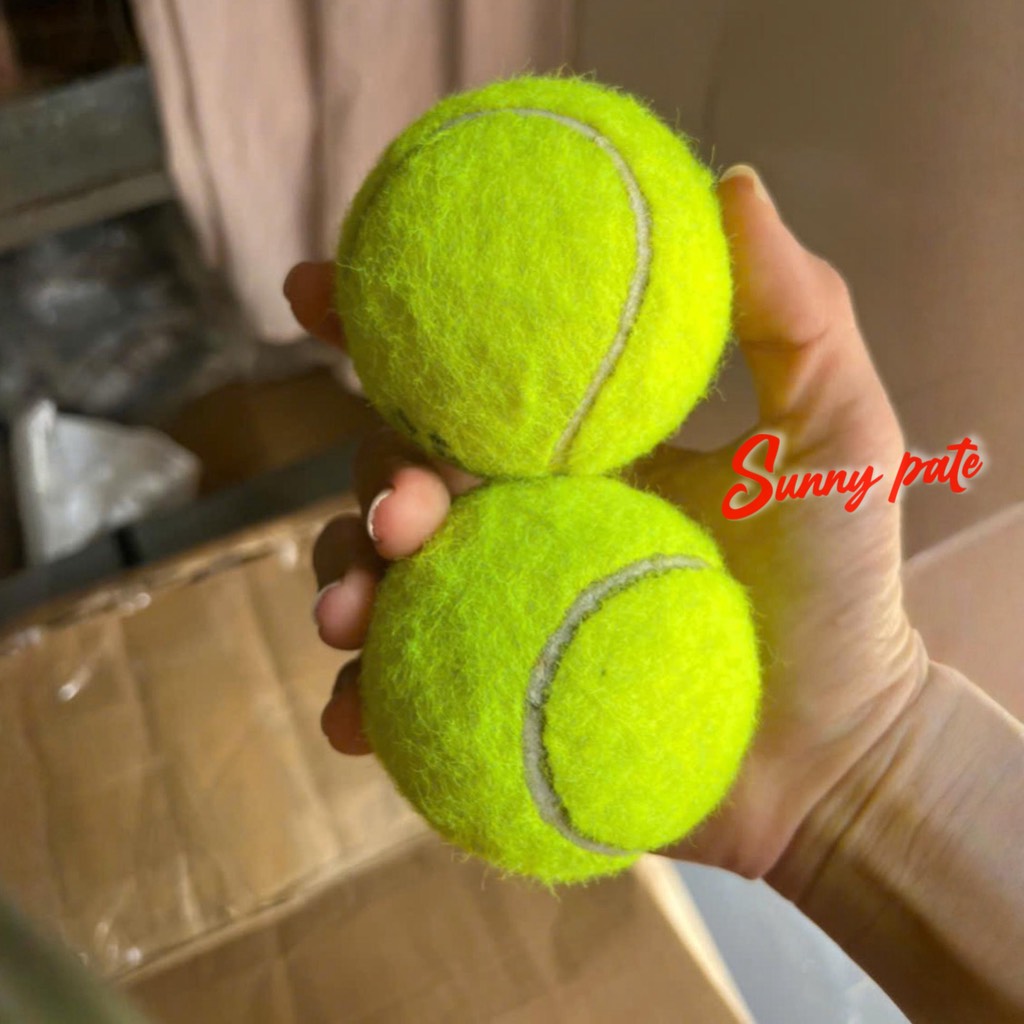 Bóng tennis Wilson cũ - đồ chơi thú cưng - Giảm tải thải cho môi trường