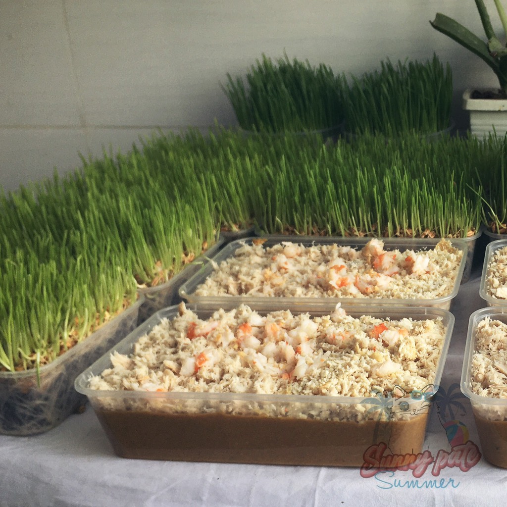 Pate Sunny dinh dưỡng cho chó mèo - HỘP 450G