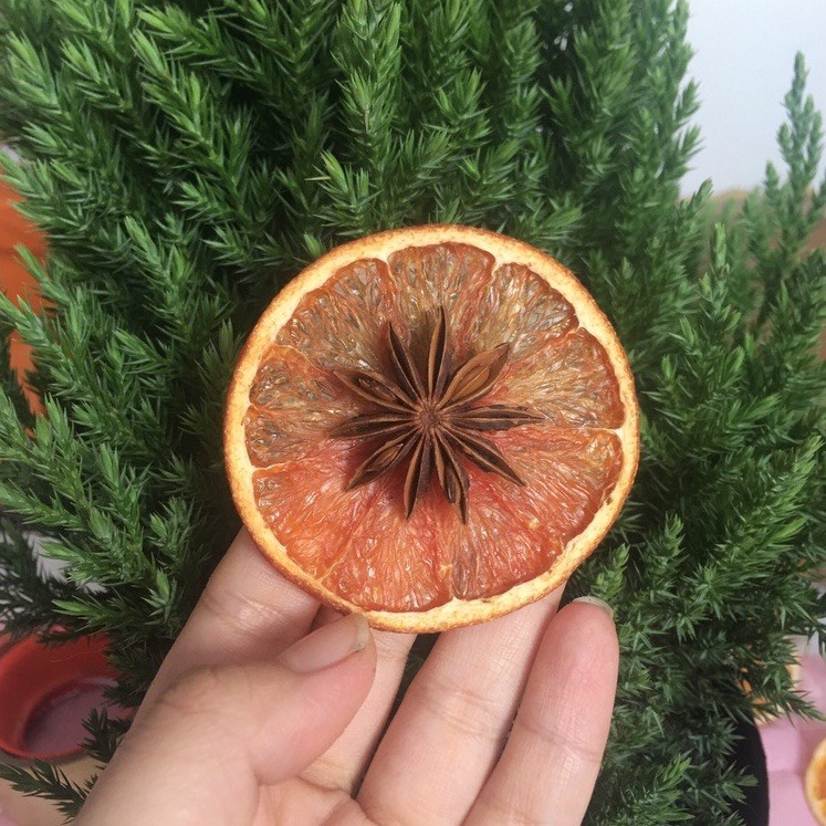 CAM KHÔ TRANG TRÍ GIÁNG SINH CÂY THÔNG - CAM MỸ SẤY - CAM NOEL 2025