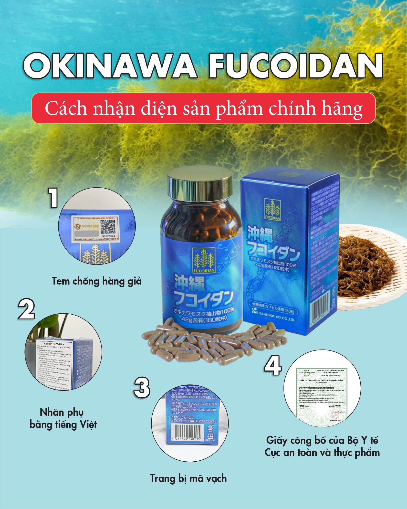 Bạn có chắc sản phẩm Fucoidan Okinawa đang dùng là sản phẩm chính hãng?