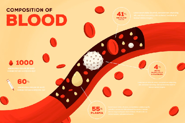 4 thành phần có trong mỡ máu nhưng quan trọng nhất là cholesterol 4 thành phần có trong mỡ máu nhưng quan trọng nhất là cholesterol