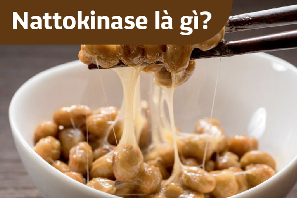 Nattokinase là gì? Nattokinase có tốt không?