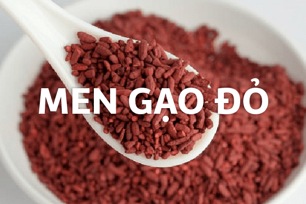Men gạo đỏ là gì? Tác dụng và cách sử dụng? Men gạo đỏ là gì? Tác dụng và cách sử dụng?