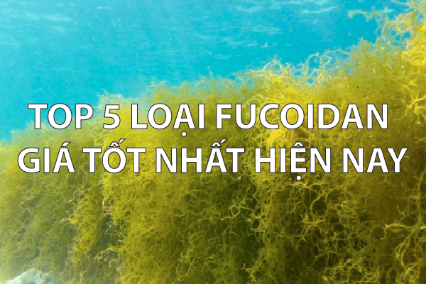 Top 5 loại fucoidan giá tốt nhất hiện nay