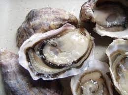 Ăn tinh hàu biển nào tốt nhất cho đàn ông? Ăn tinh hàu biển nào tốt nhất cho đàn ông?