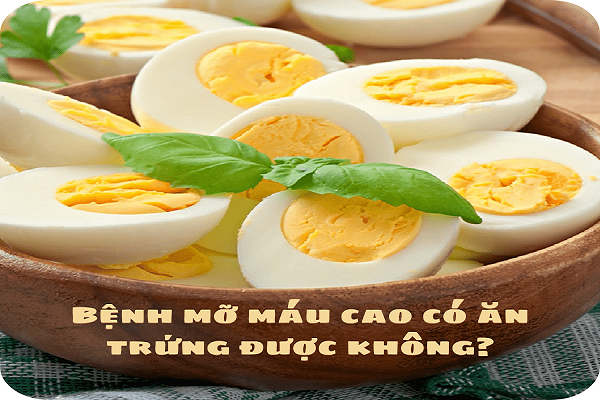 Bệnh mỡ máu cao có ăn trứng được không?