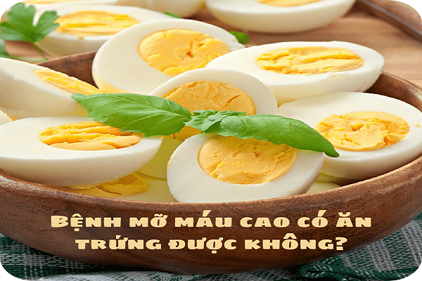 Bệnh mỡ máu cao có ăn trứng được không? Bệnh mỡ máu cao có ăn trứng được không?