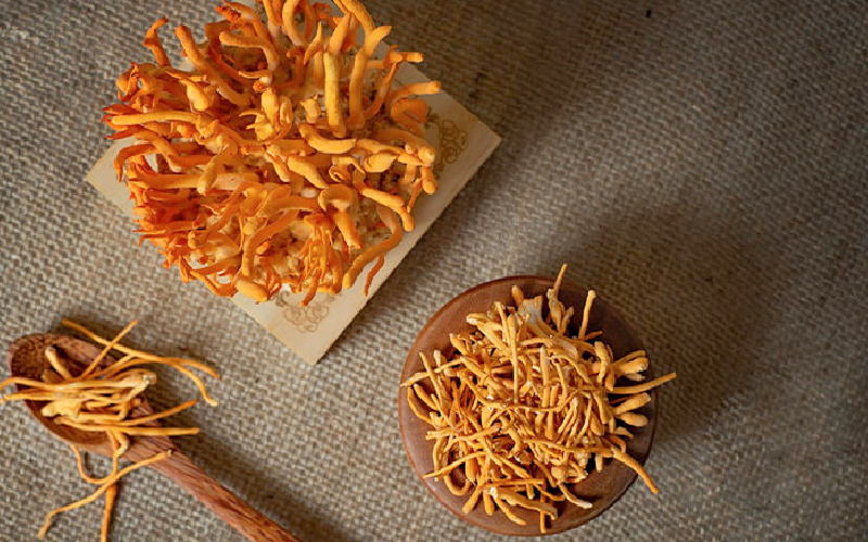 Đông trùng hạ thảo Nhật Bản