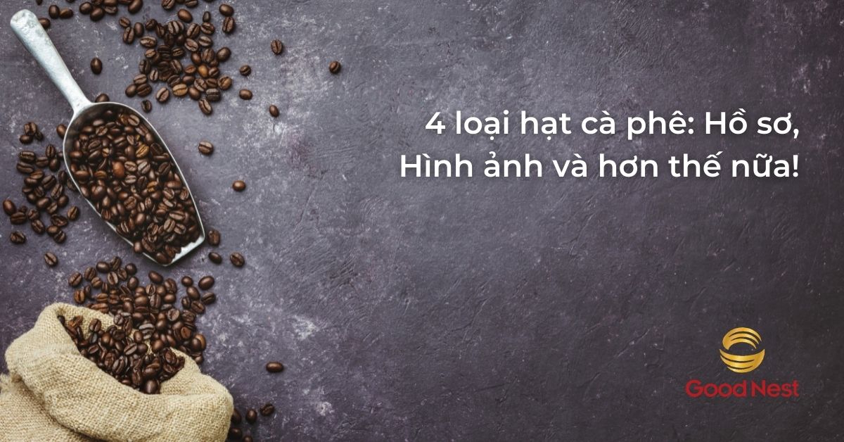 4 loại hạt cà phê: Hồ sơ, Hình ảnh và hơn thế nữa!