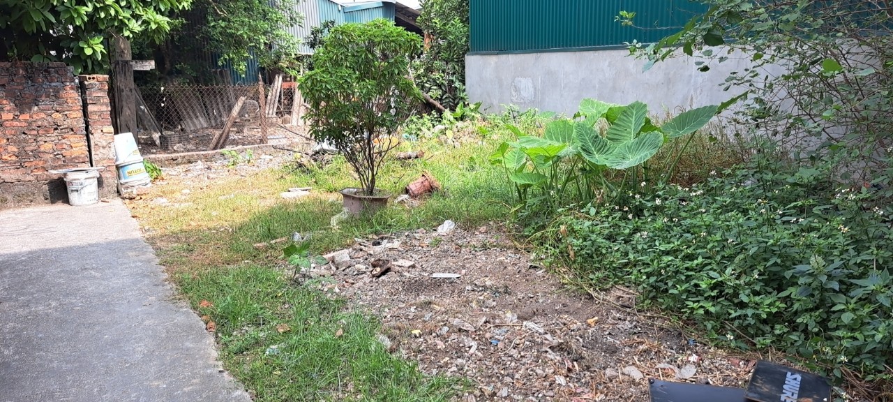 Bán đất Bích Hòa Thanh Oai dưới 1 tỷ