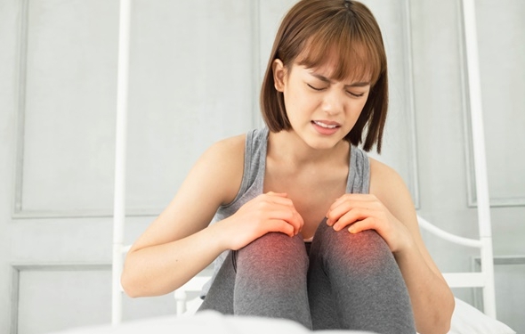Những cây thuốc nam chữa bệnh đau nhức xương khớp