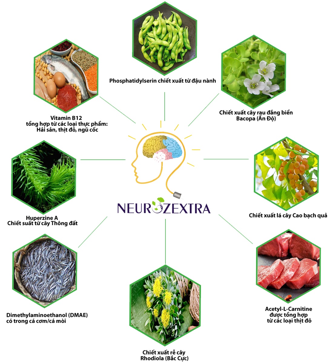 Những người nào nên dùng Neurozextra