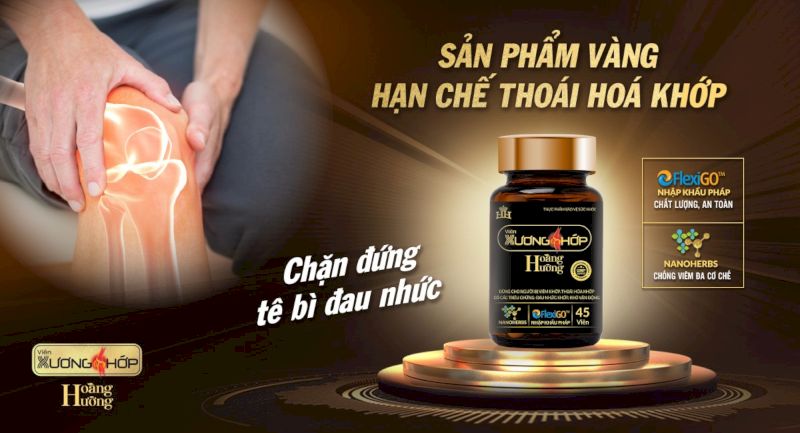 Viên xương khớp Hoàng Hường - “Trợ thủ đắc lực” làm giảm các chứng đau nhức xương khớp 