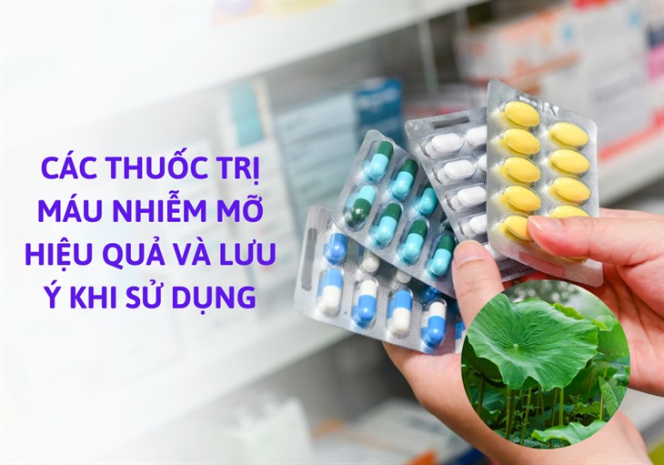 Top 6 thực phẩm chức năng hạ mỡ máu tốt nhất hiện nay