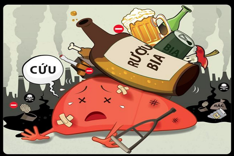 Xơ Gan Do Rượu