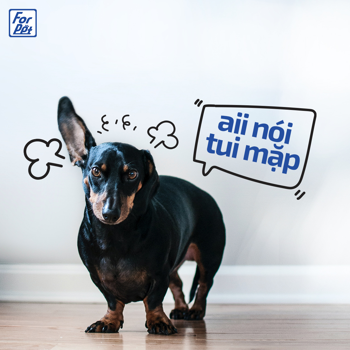 Chế độ ăn cho chó không tăng cân