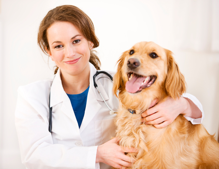 TRIỆU CHỨNG VÀ CÁCH PHÒNG NGỪA BỆNH PARVO Ở CHÓ