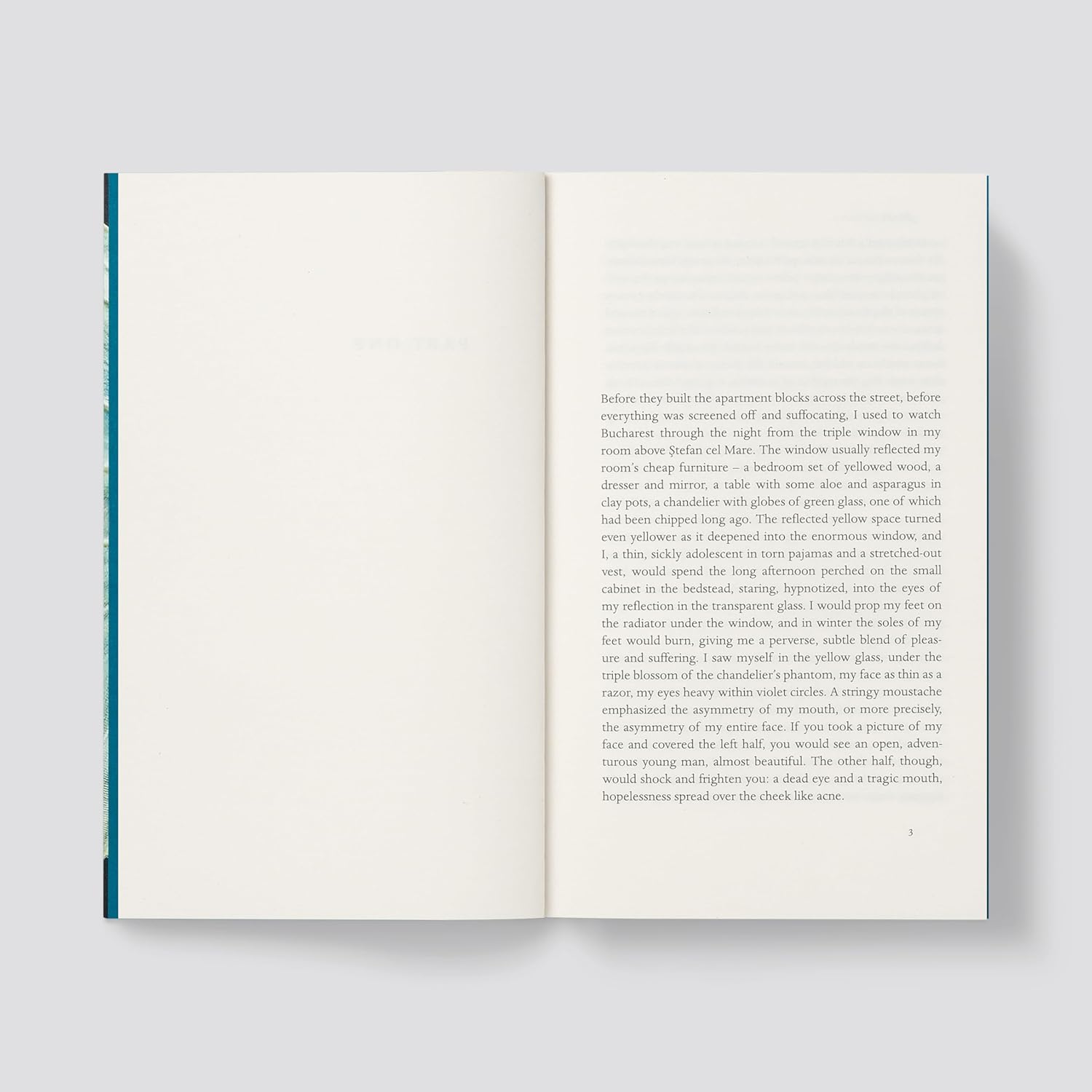 Blinding: The Left Wing