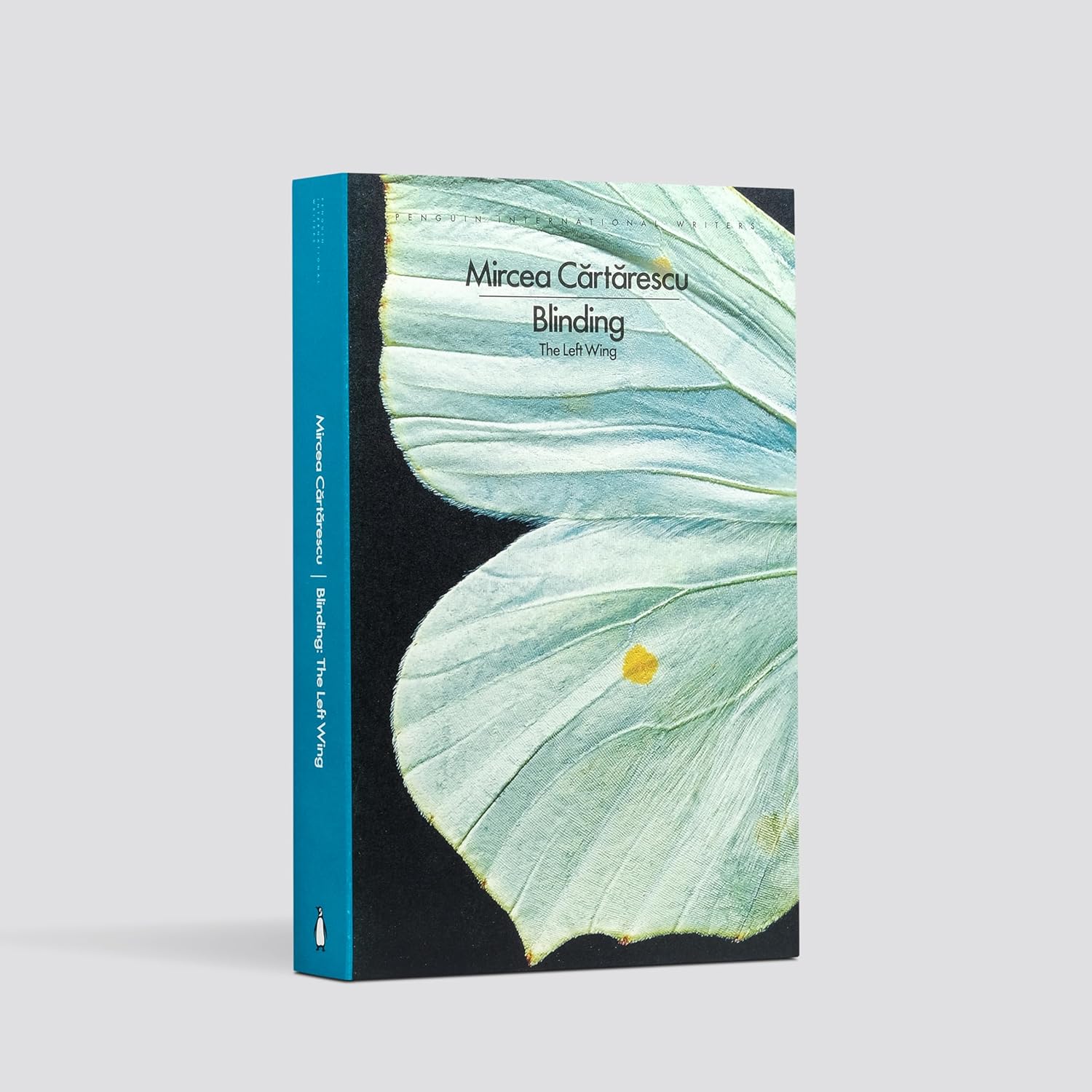 Blinding: The Left Wing