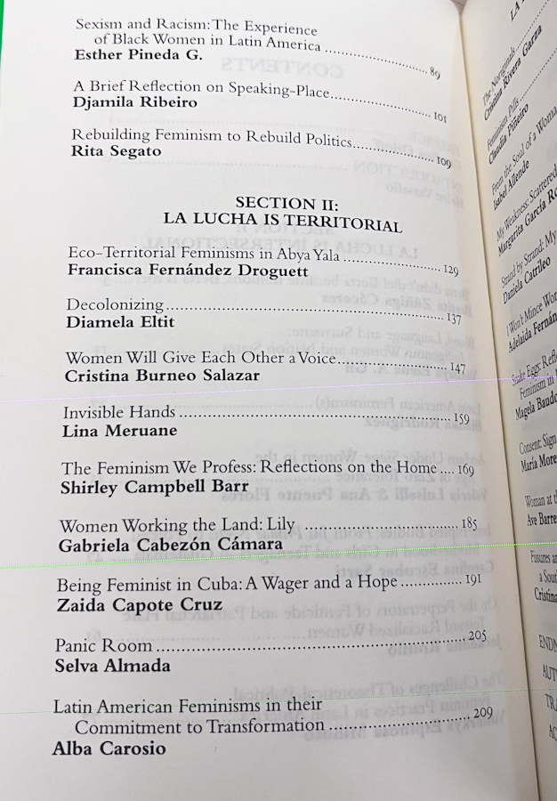 La Lucha: Latin American Feminism Today