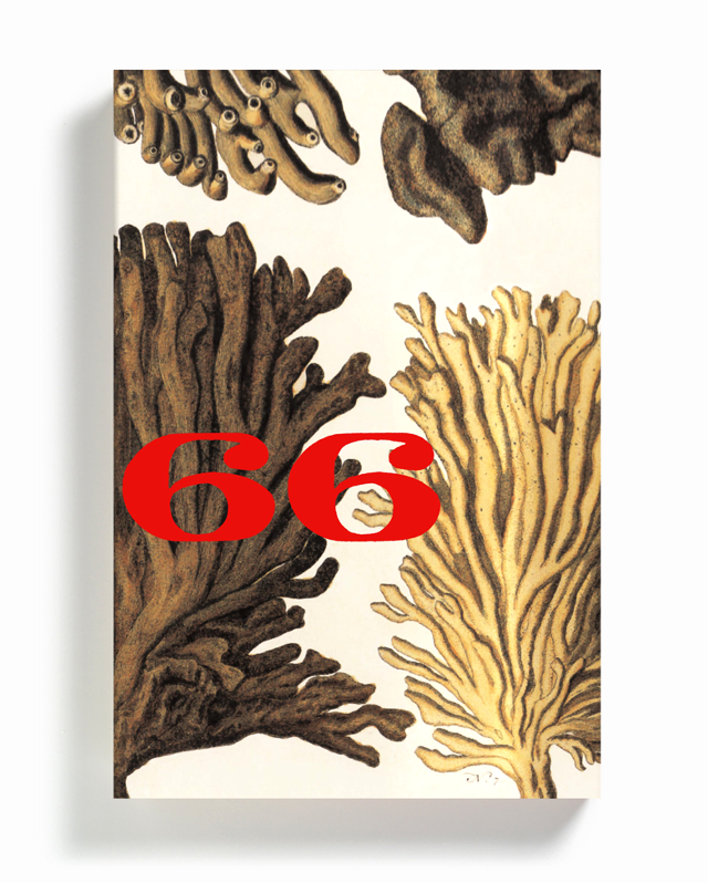 2666 (3-Volume Boxed Set)
