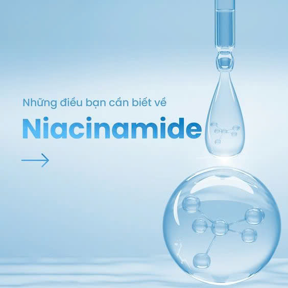 Hình ảnh bài viết