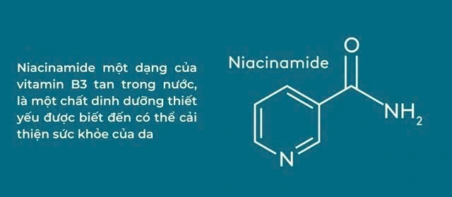 Hình ảnh bài viết
