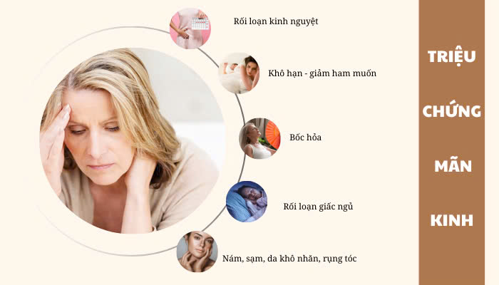 Hình ảnh bài viết