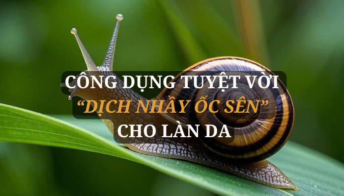 Hình ảnh bài viết