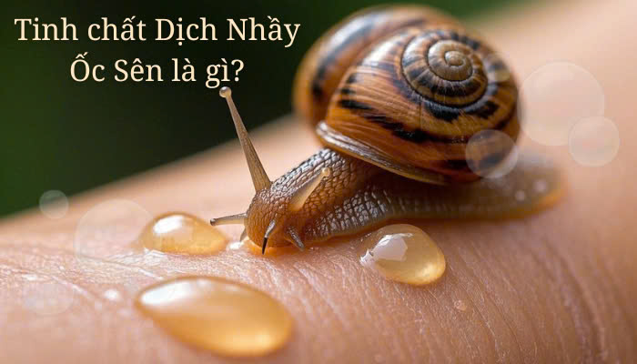 Hình ảnh bài viết