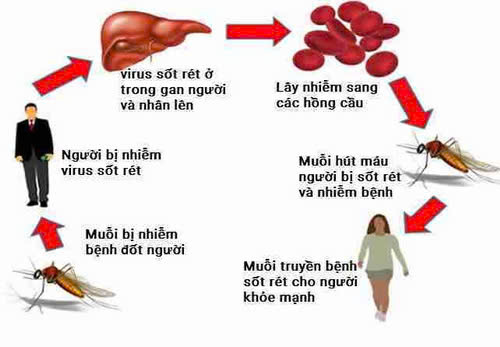 Hình ảnh bài viết